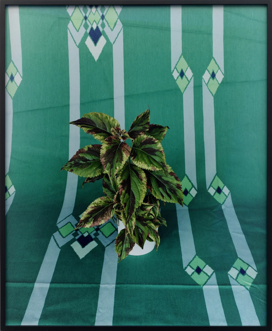 Untitled 2011 C-print 87.3 x 71.8 cm / 34.2 x 28.2 in framed