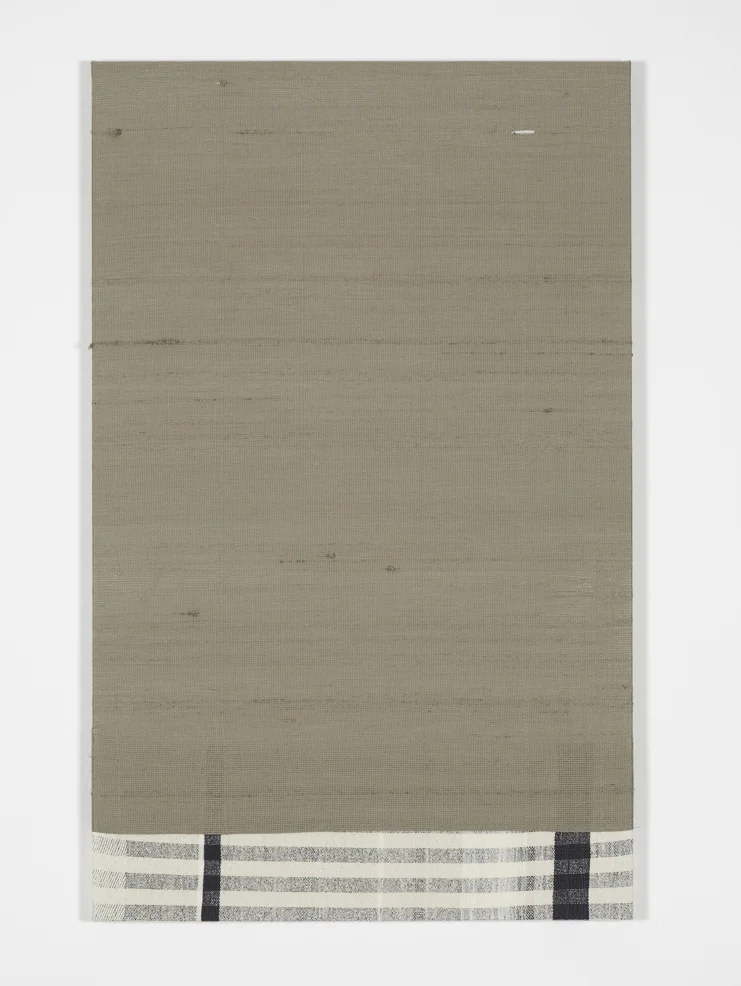 Service Entrance 2013 Monofilament, silk 121.9 x 76.2 cm / 48 x 30 in