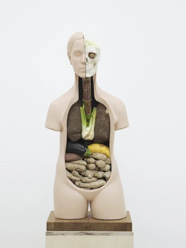 Veggieanatomy 2011 Vegetables, jesmonite, paint, wood 183 x 25.4 x 39 cm / 72 x 10 x 15.3 in