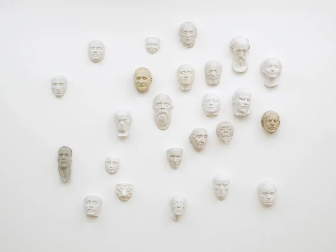 Trunk 2011 Plaster 300 x 300 cm / 118 x 118 in