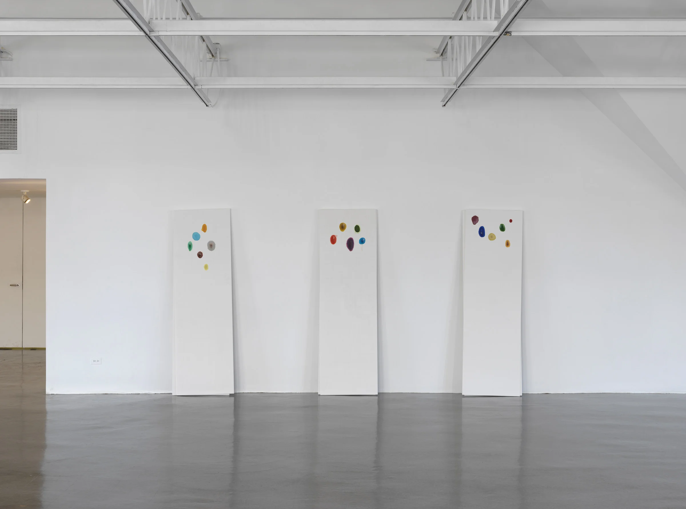 Colour Drop Installation View The Renaissance Society, Chicago,US 2014