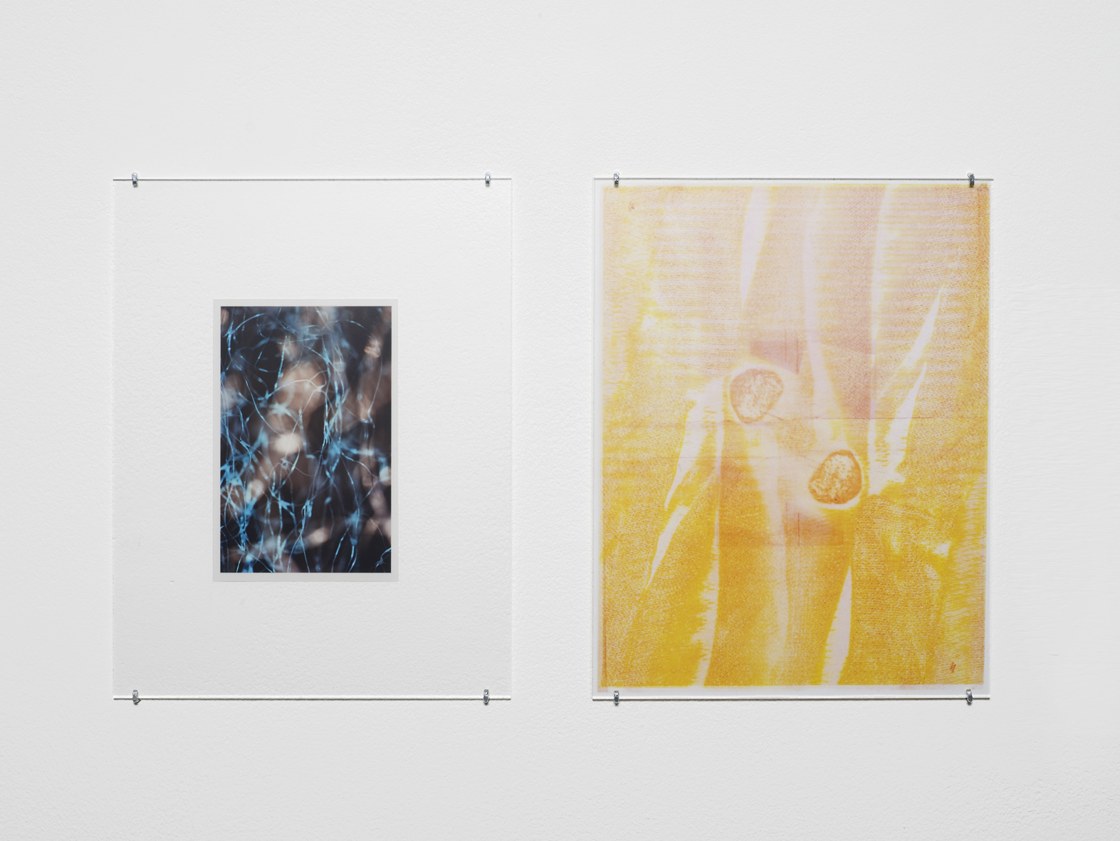     Untitled 2014-2015 Unique C-print, inkjet print, inkjet print on transparency, non-reflective perspex, L shaped pins&nbsp; 2 parts, each: 27.9 x 21.5 cm / 11 x 8.5 in 