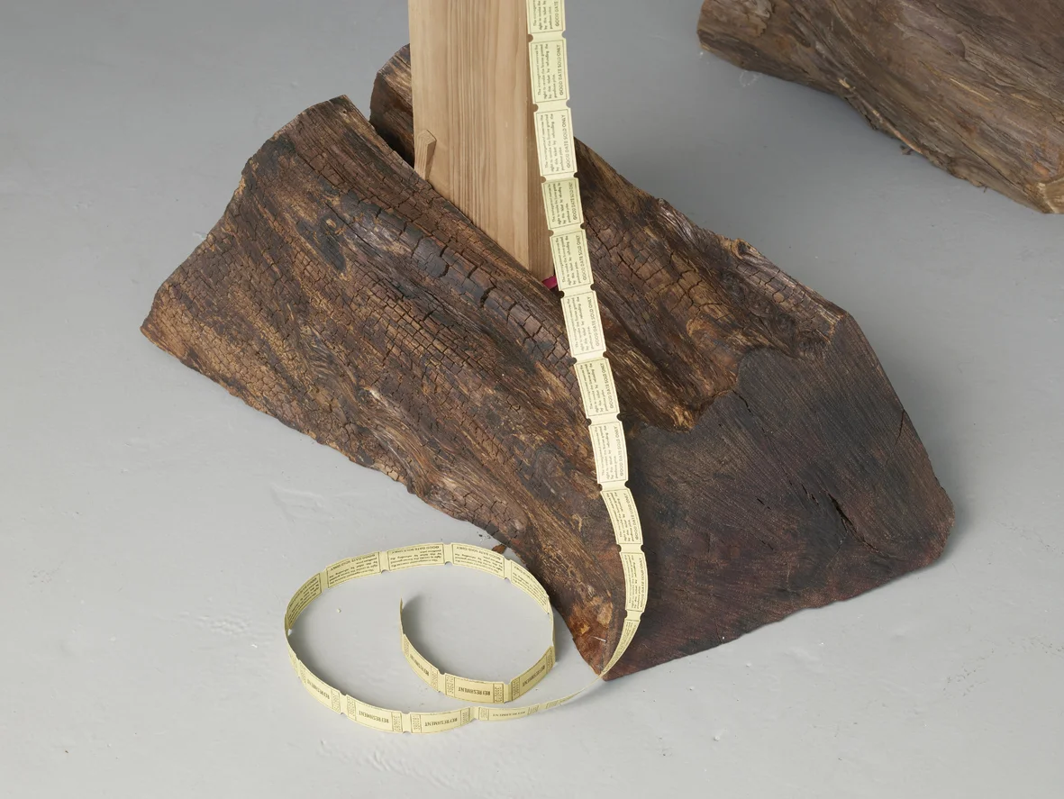 Refreshment 2005 Cedar wood, yew wood, perspex, dvd loop, silver projection screen, ticket roll, stainless steel screws, painted nails Dimensions variable, approx 261 x 360 cm l / 102.8 x 141.7 in