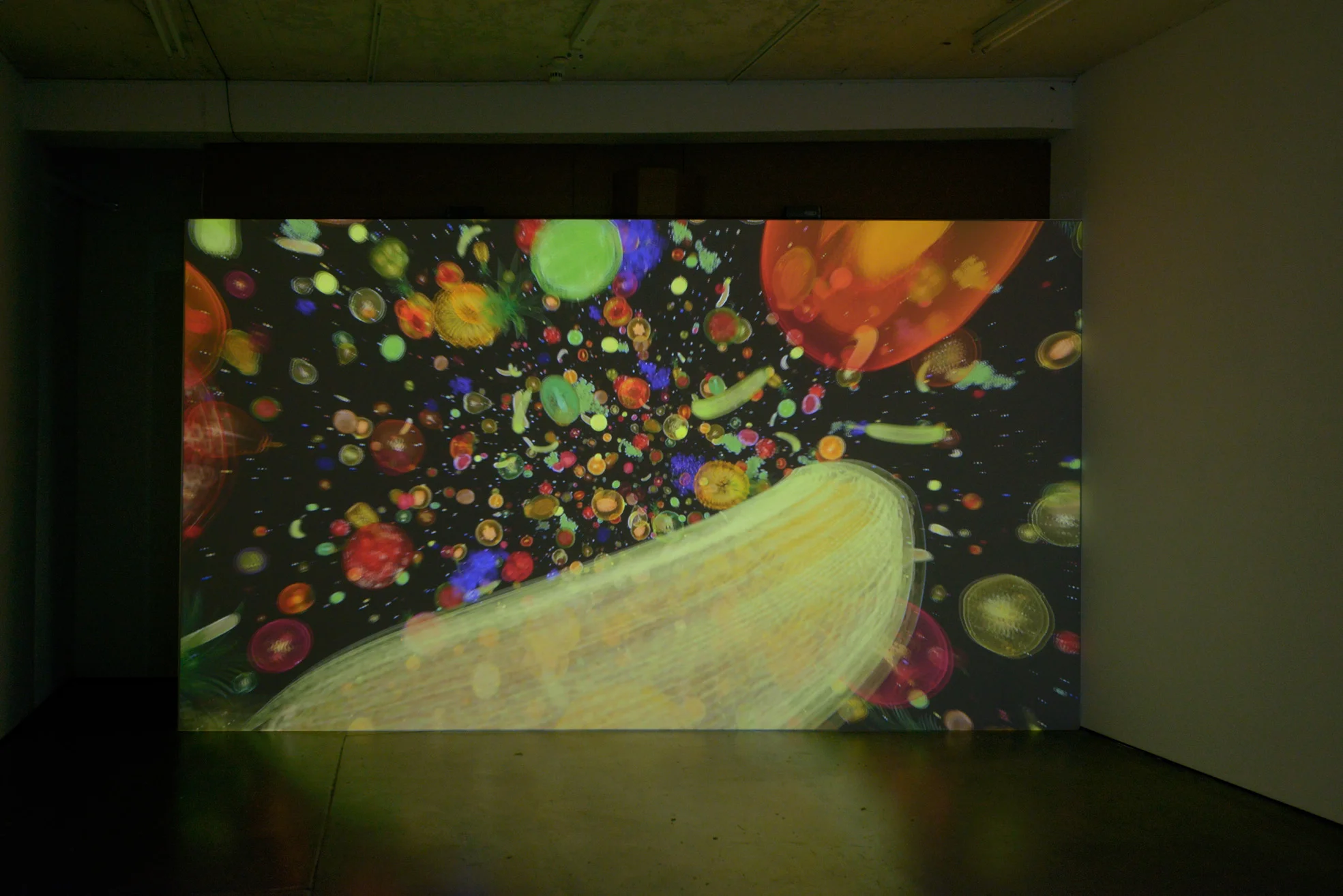 Untitled 2011 High definition video Dimensions variable 