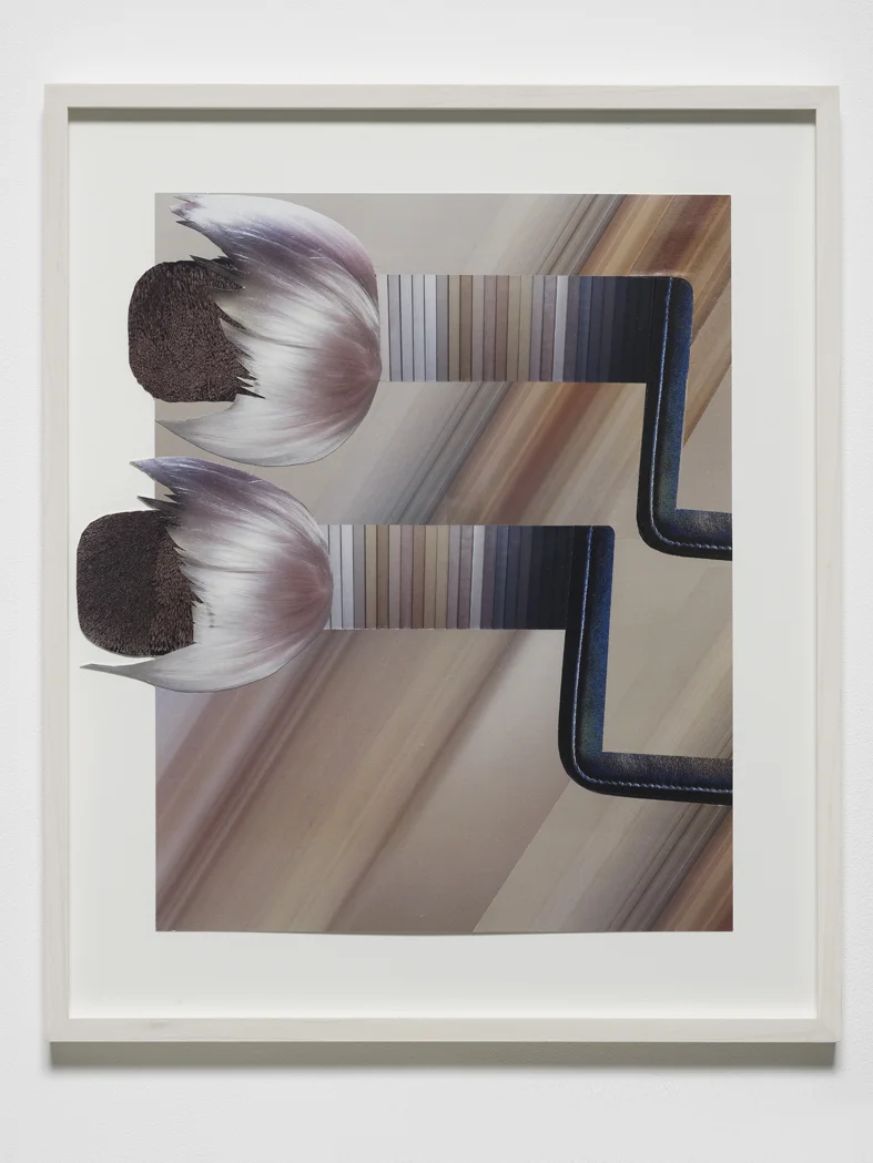 Untitled (Puschel) 2015 Collaged magazine pages 39.7 x 30.5 cm / 15.6 x 12 (unframed)