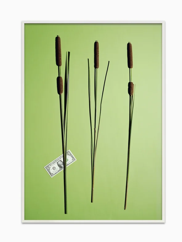 One Dollar Left Side / Money Tree One Leaf Left 2015 Inkjet prints, framed 96.8 x 68.3 cm / 38 x 27 in Ed. 1/6 + 2 APs