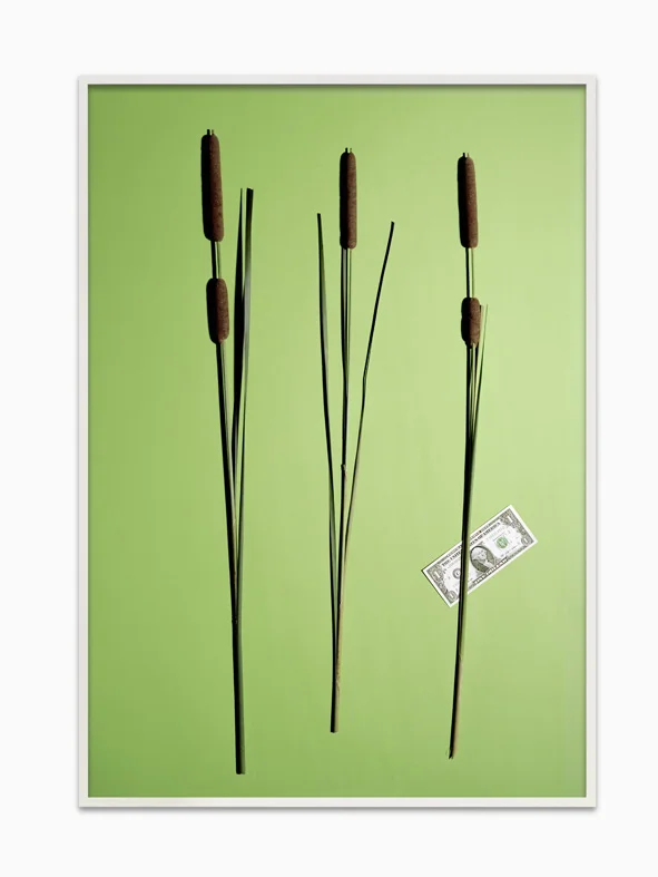 One Dollar Right Side / Money Tree One Leaf Right 2015 Inkjet prints, framed 96.8 x 68.3 cm / 38 x 27 in Ed. 1/6 + 2 APs