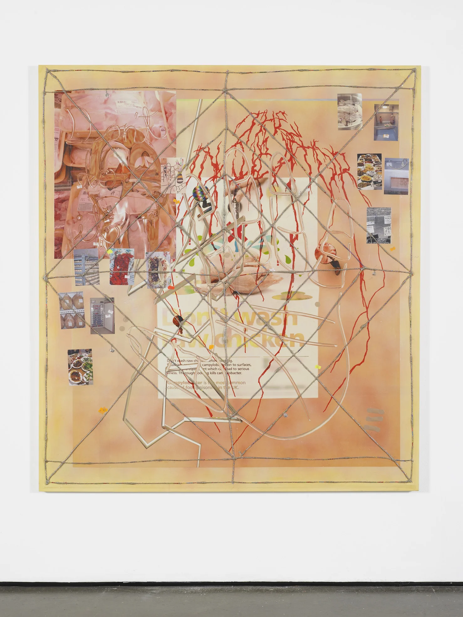 Nicholas Cheveldave If It Smells Weird, Don't Eat It 2016 Photolaminate, acrylic, paper, friendship bracelets, hemp and metal on canvas 180 x 160 cm / 70.8 x 62.9 in HS12-NC5459P