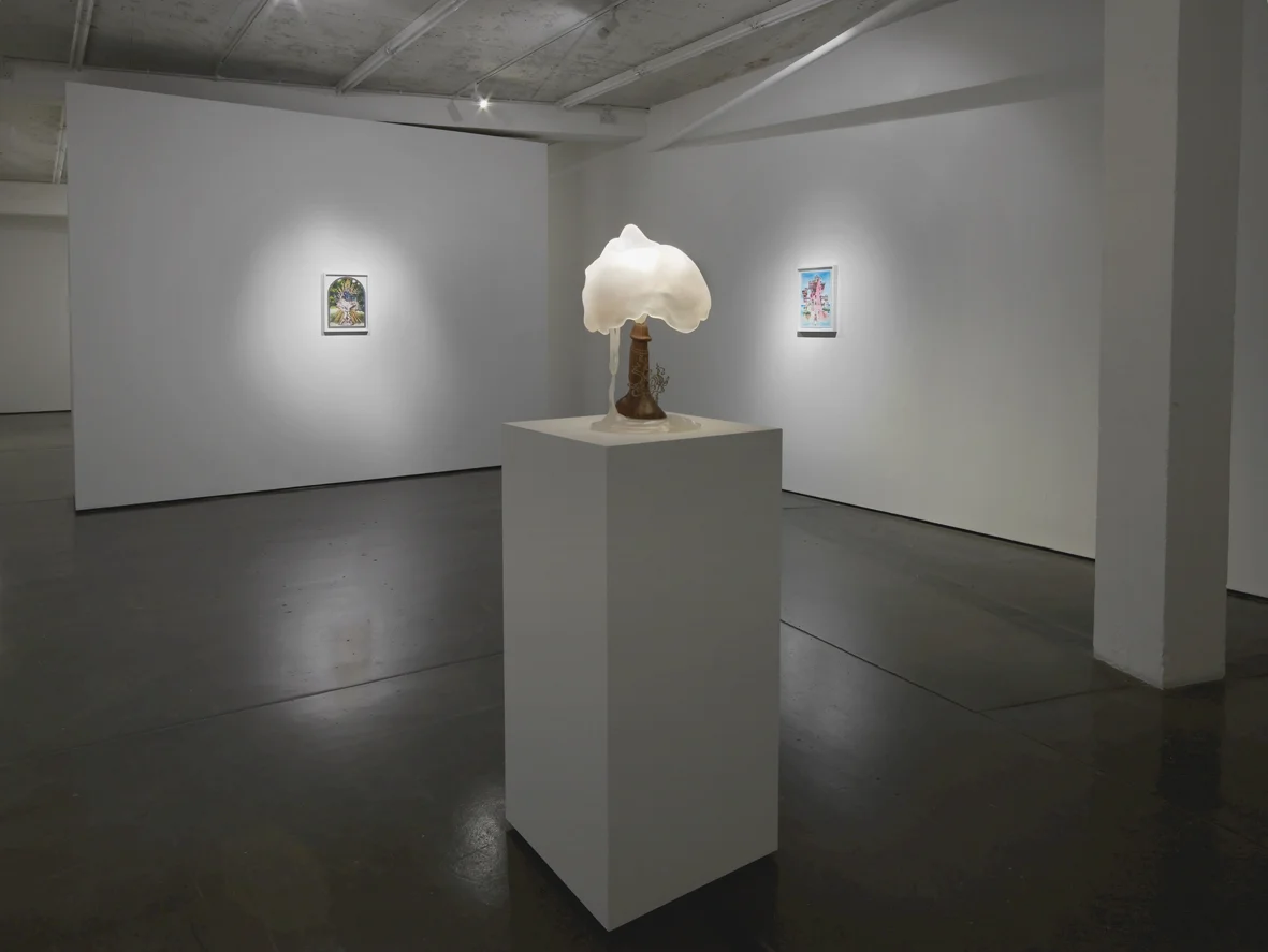 Cary Kwok Installation View Herald St 2016