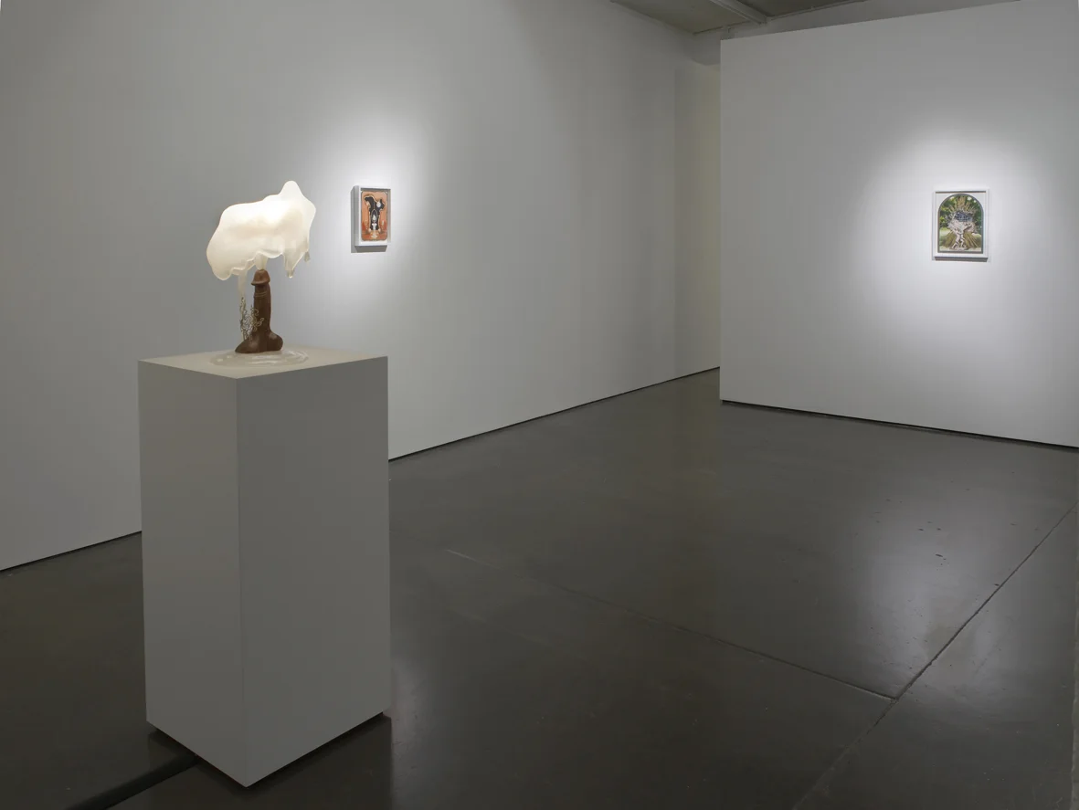 Cary Kwok Installation View Herald St 2016