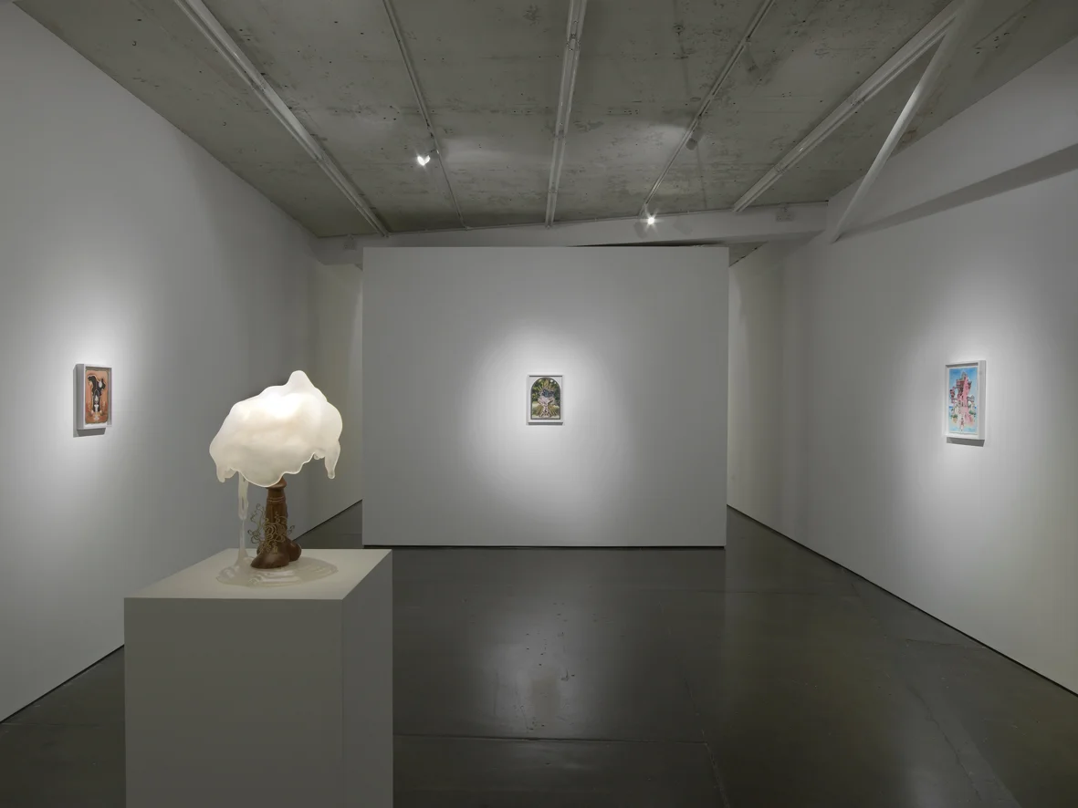Cary Kwok Installation View Herald St 2016