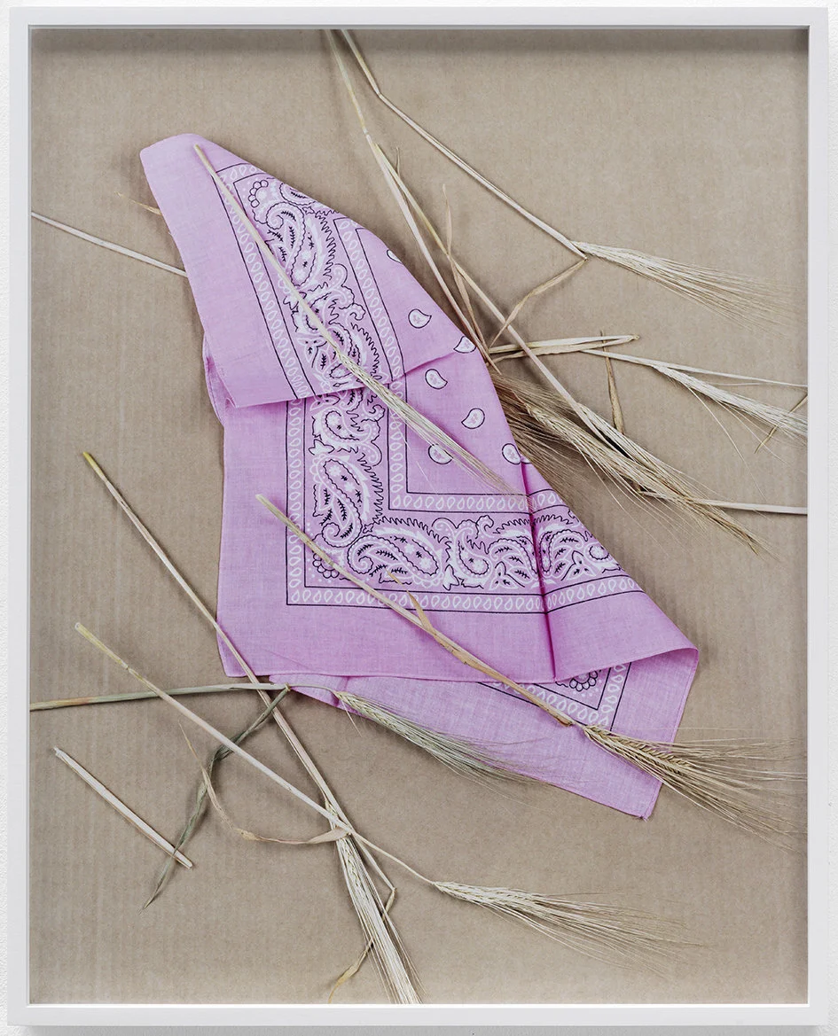 Paisley and Wheat Pink c-print, framed 2013 58.5 x 46.7 cm 4/6 + 2AP