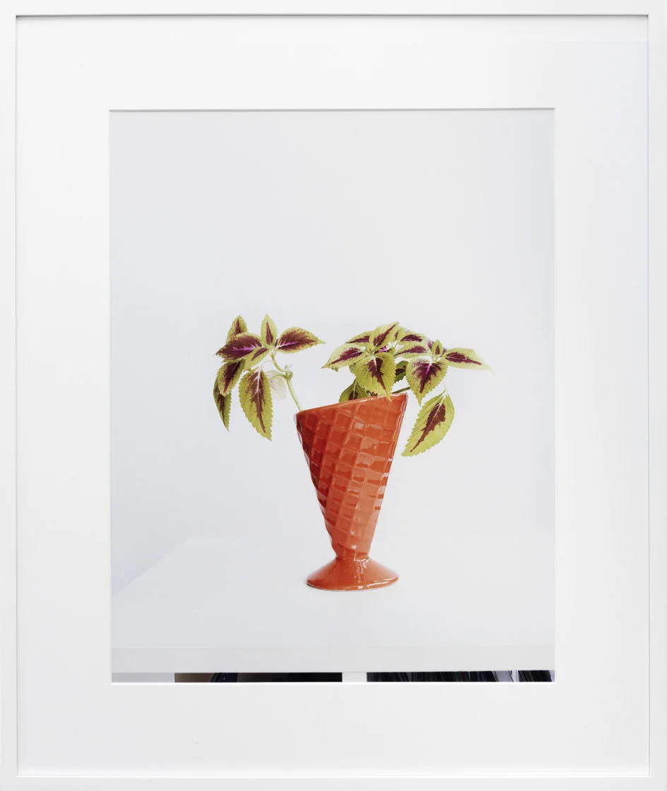 Untitled (Buntnessel 2) c-print, framed 2011 50 x 38.5 cm 4/5 + 2AP