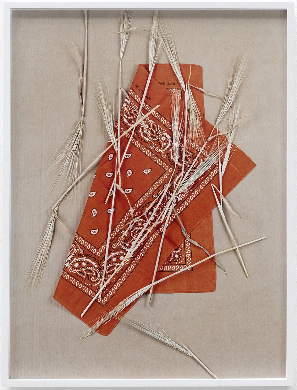 Paisley and Wheat, Orange # 1 c-print, framed 2013 61 x 45.5 cm 5/6 + 2AP