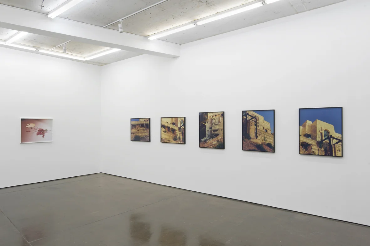 Annette Kelm Installation View Herald St 2016