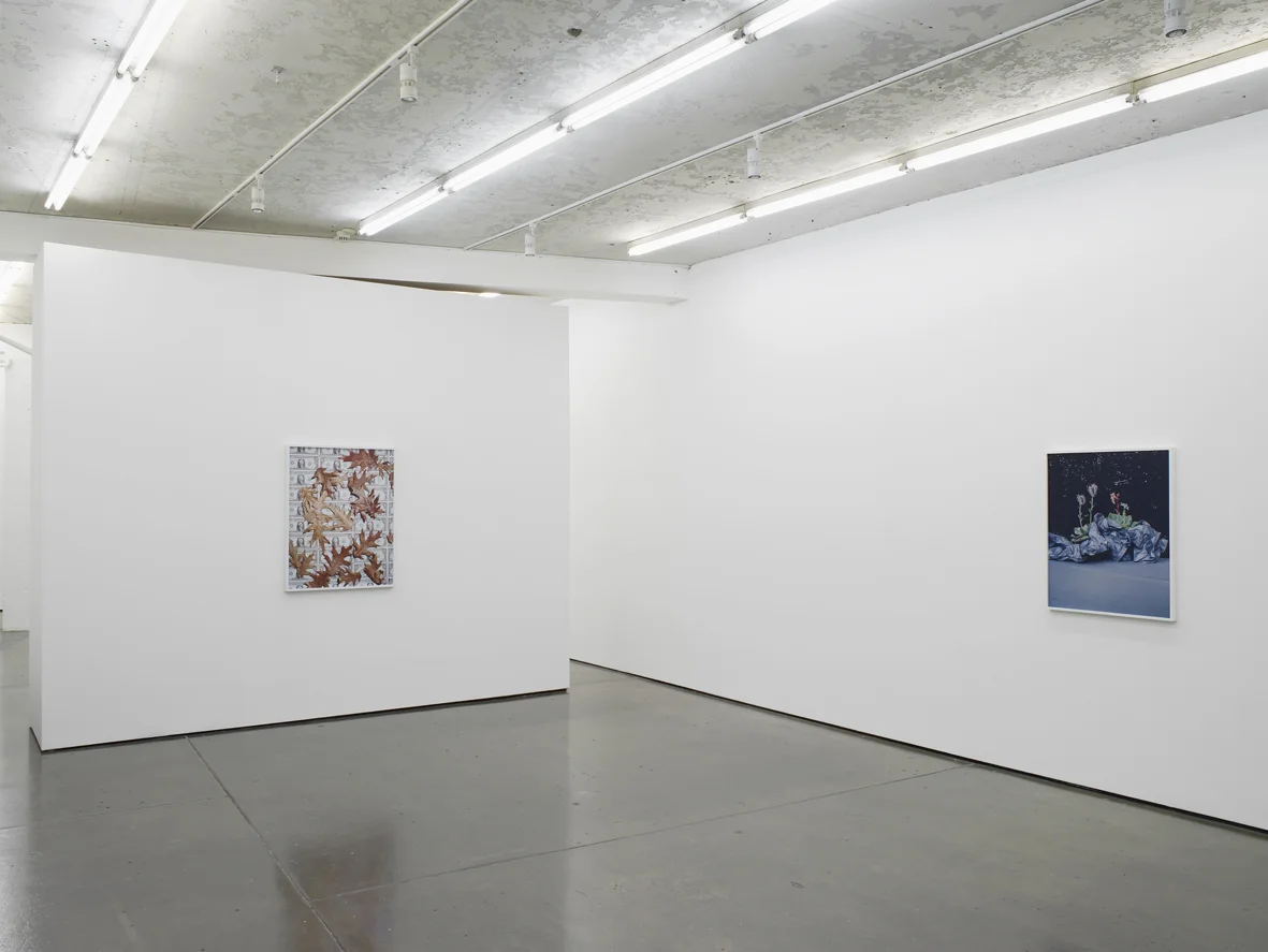 Annette Kelm Installation View Herald St 2016