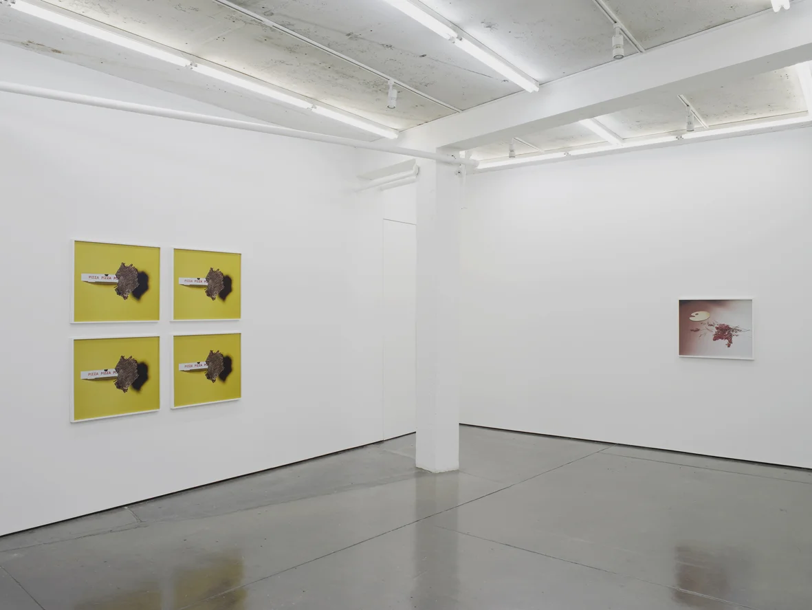 Annette Kelm Installation View Herald St 2016