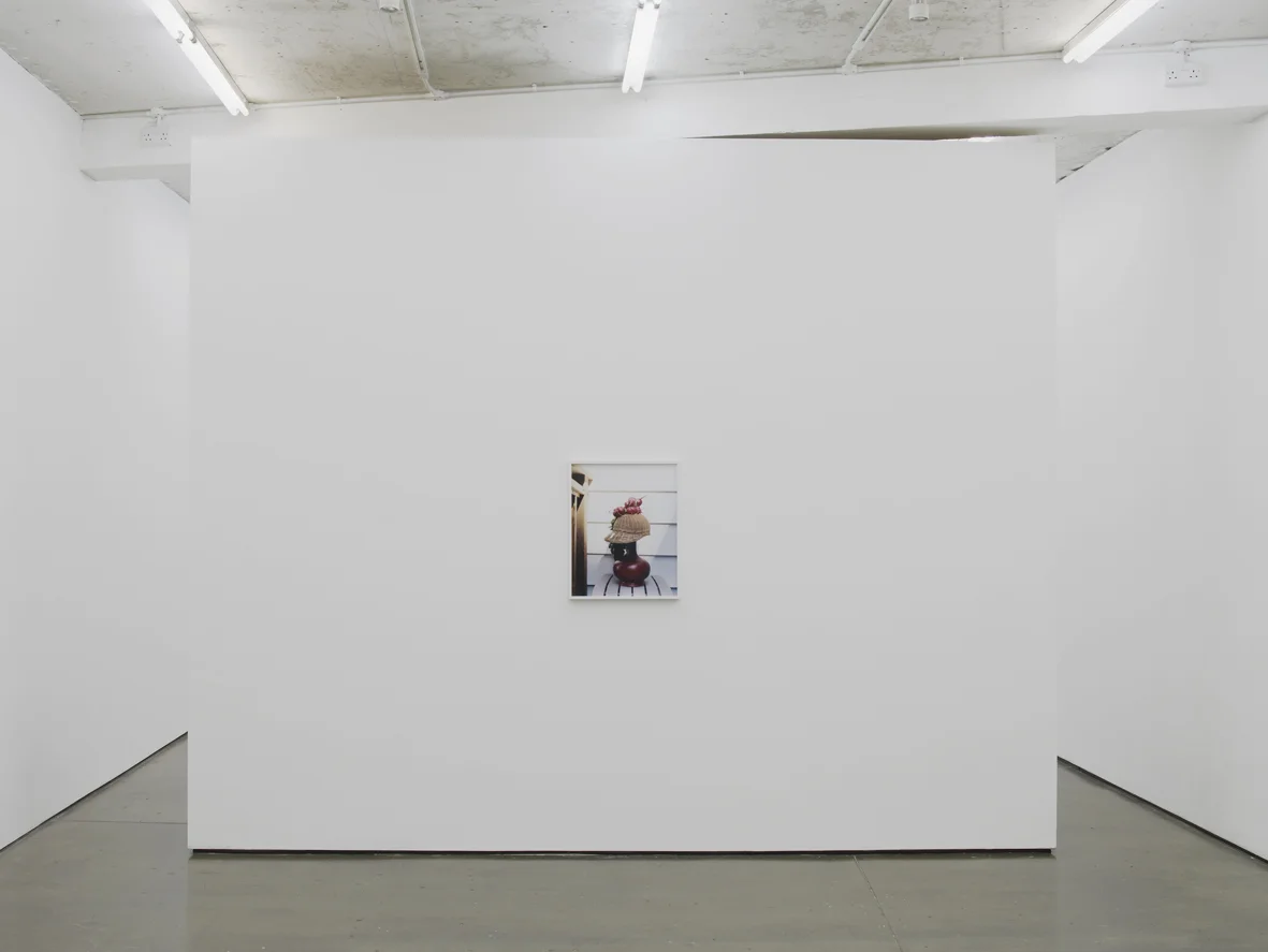 Annette Kelm Installation View Herald St 2016