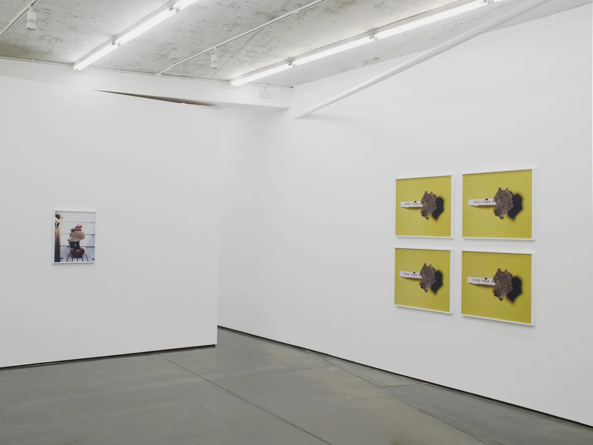 Annette Kelm Installation View Herald St 2016