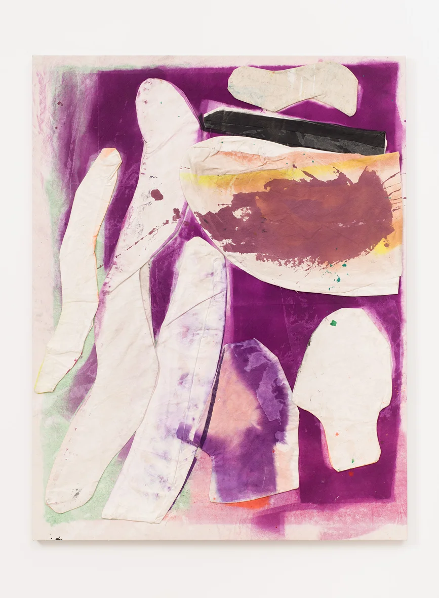 Purple martins, Realia, Folk crafts and gourds 2016 Acrylic and gesso on canvas 133.4 x 102.9 cm / 52.5 x 40.5 in