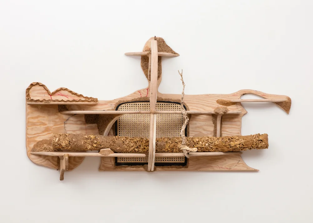 Shelf for a Log 2016 Plywood, sawdust, cane chair seat, ink 34 x 68 x 13 inches (86.36 x 172.72 x 33.02 cm)