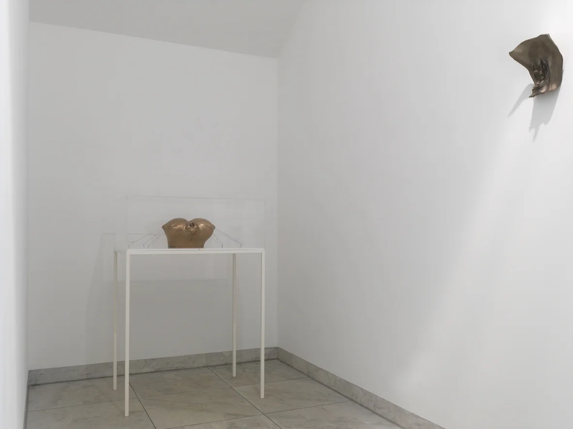 STRETCH Installation View Museum Abteiberg, Mönchengladbach, DE 2017