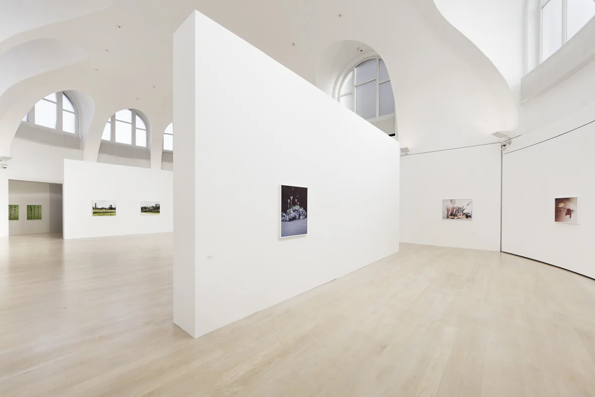 Leaves Installation View Kestnergesellschaft, Hannover, DE 2017