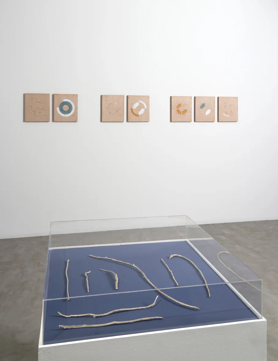A un brazo de distancia Installation View NC-Arte, Bogotá, CO 2017