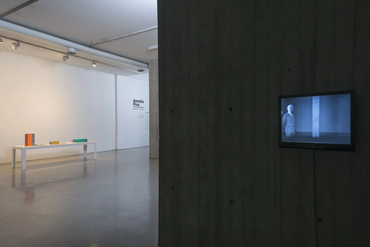 A un brazo de distancia Installation View NC-Arte, Bogotá, CO 2017