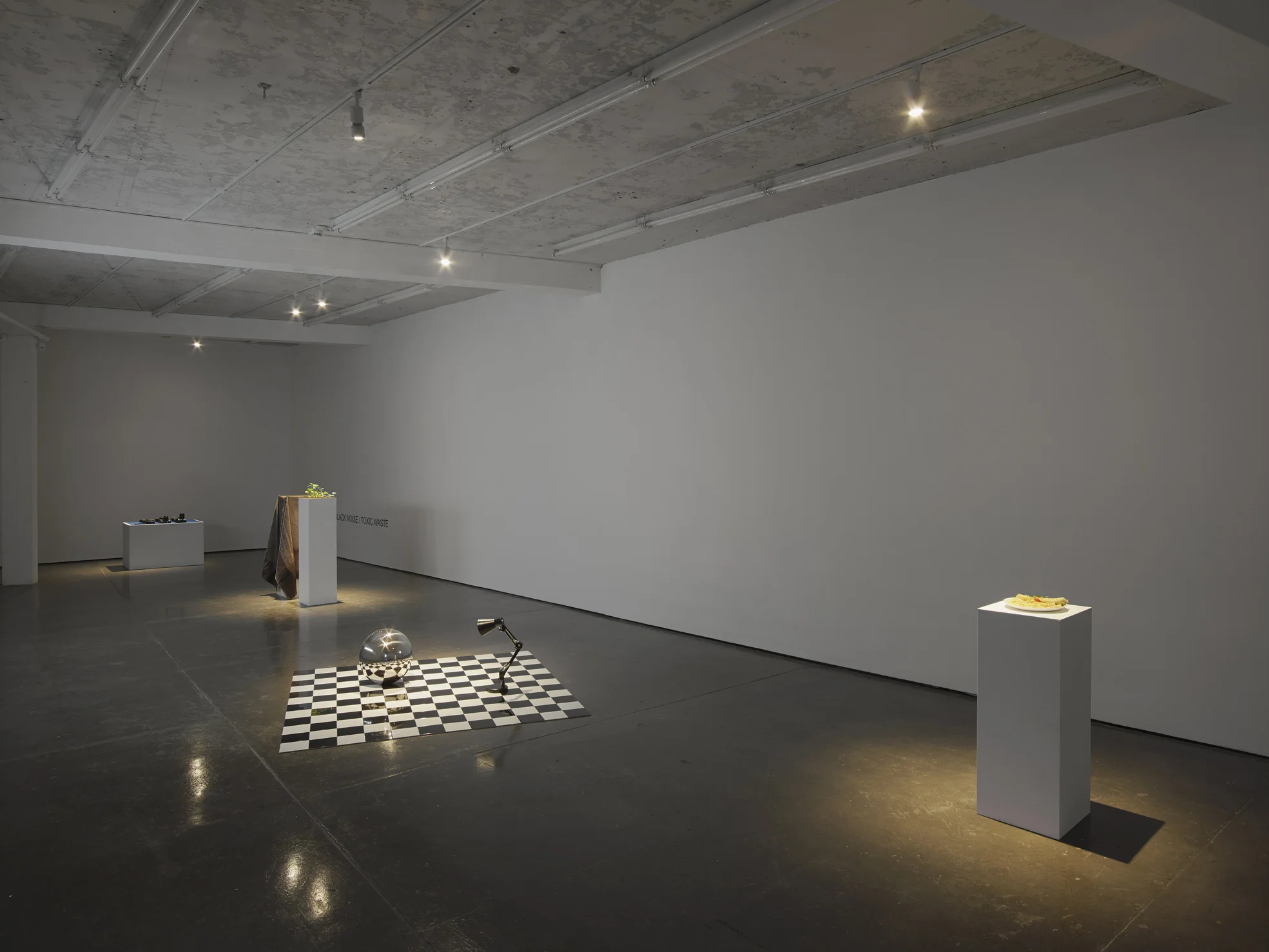 EXHAUST: BLACK NOISE / TOXIC WASTE Installation view Herald St 2017