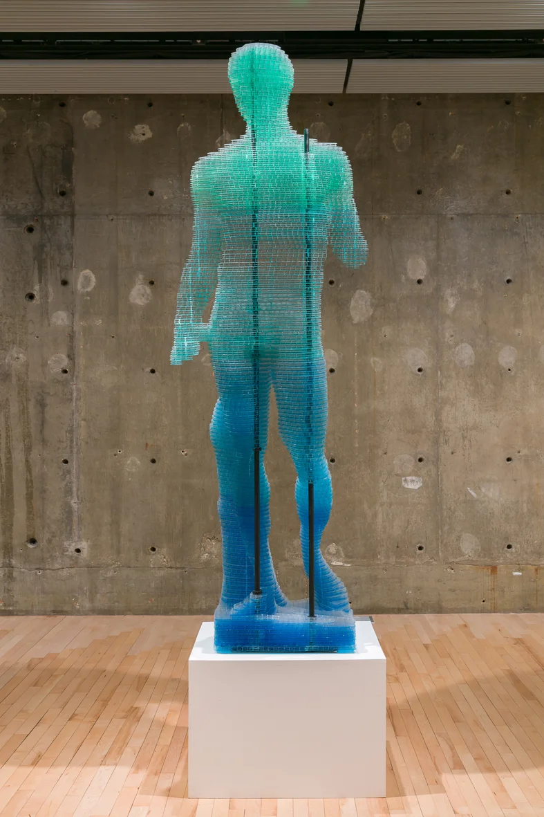 Darbyshire, Gander, Pica, Starling Installation view Hayward Gallery, London, UK 2018