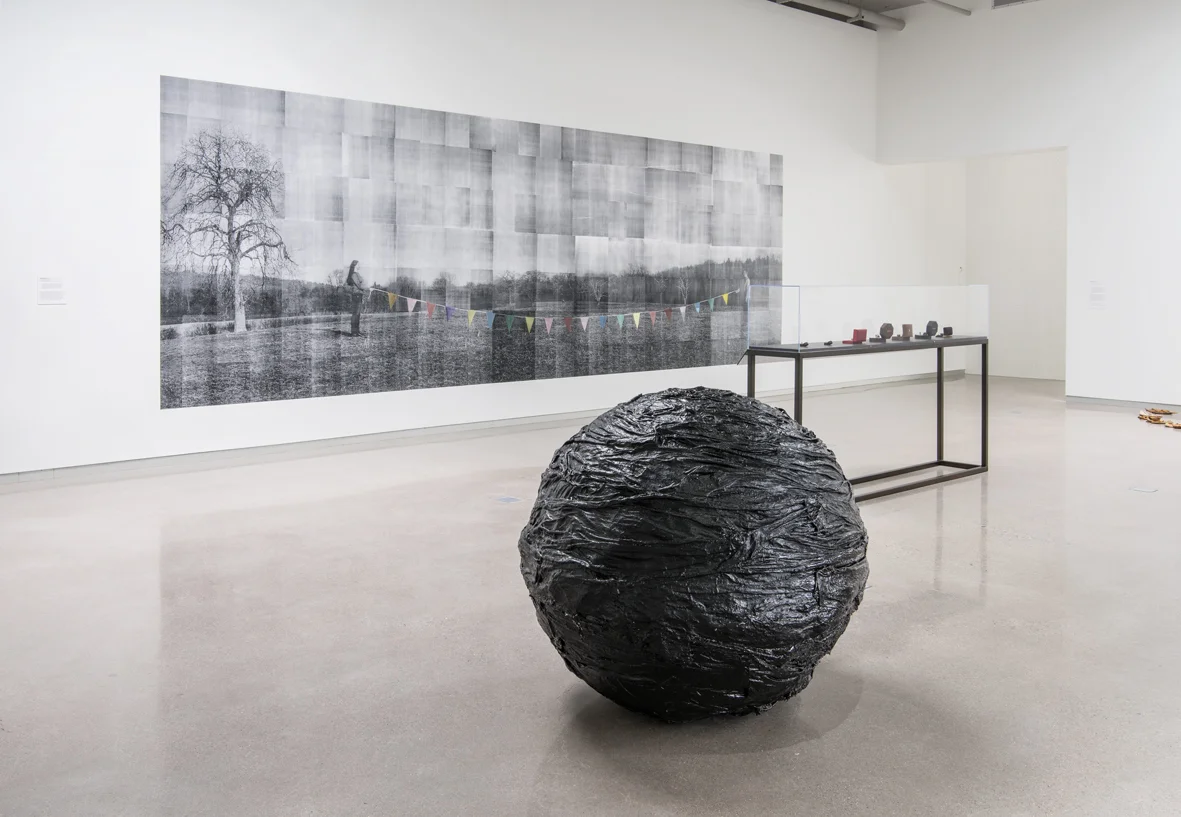 Declaration Installation View Institute for Contemporary Art, Virginia Commonwealth University, Richmond, US 2018