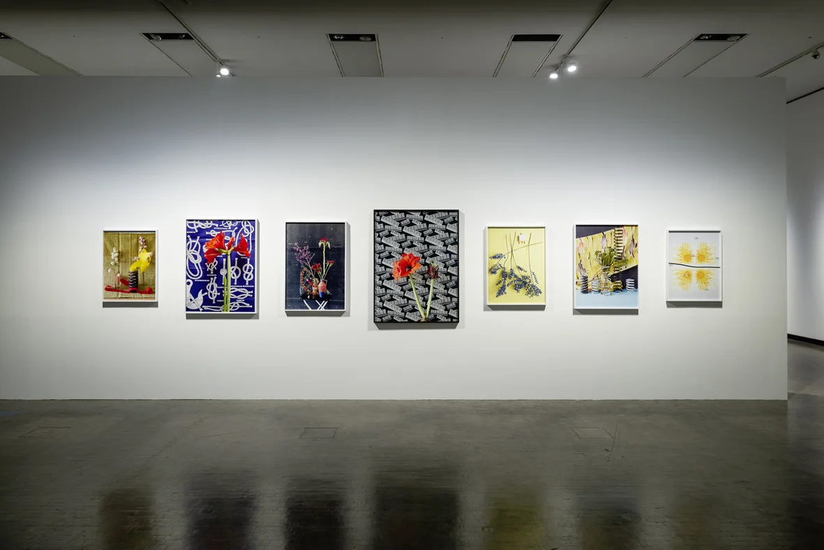 Tomato Target Installation view Kunsthalle Wien, Vienna, AT 2018