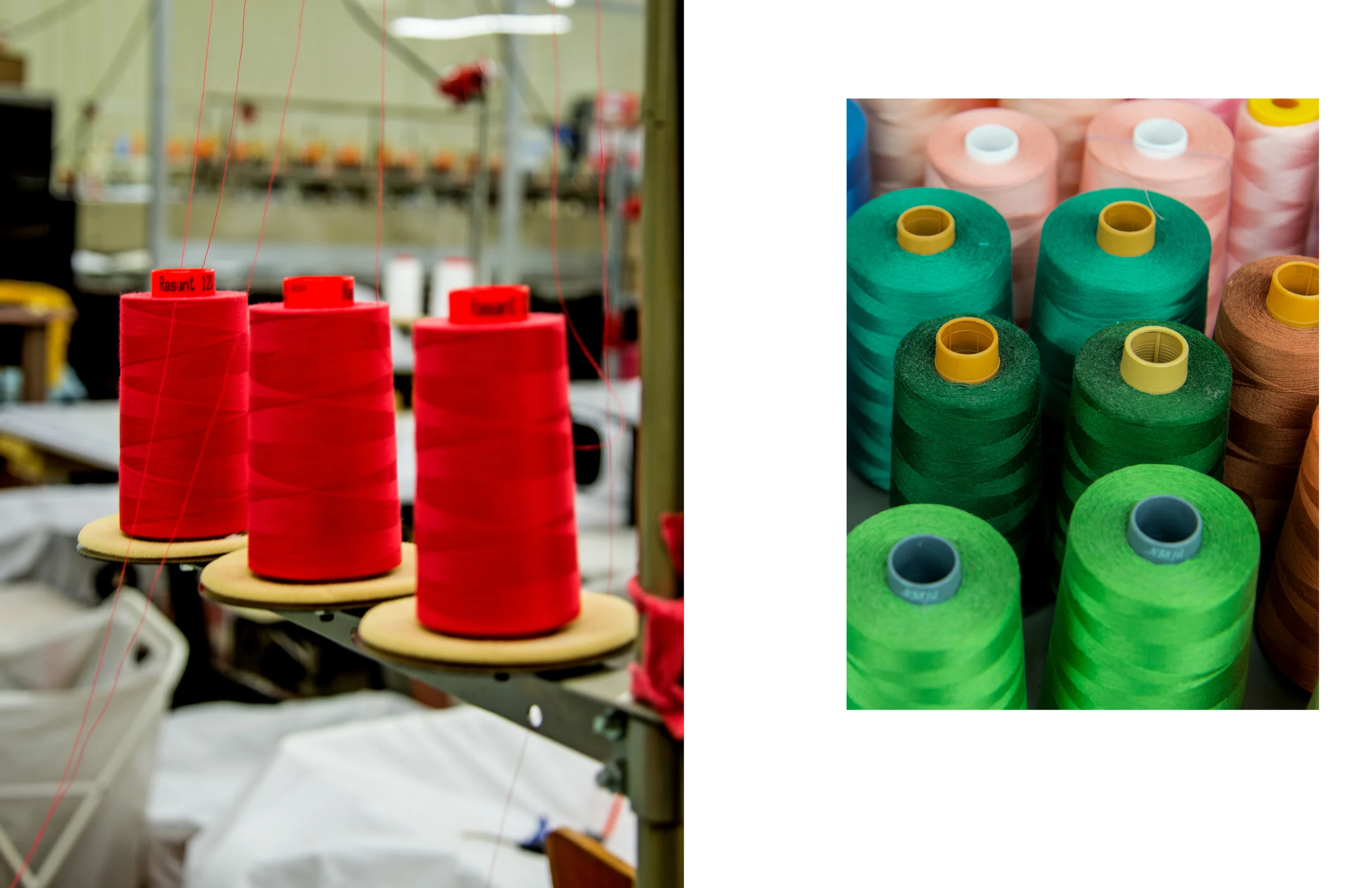PRATESI FACTORY 201652.jpg