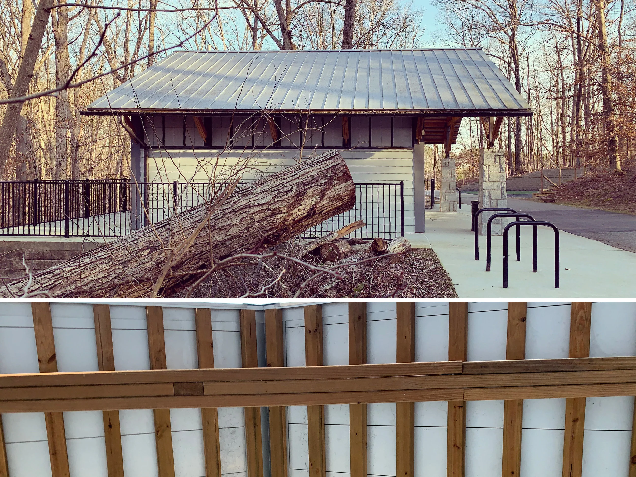 Photo Banner3.jpg