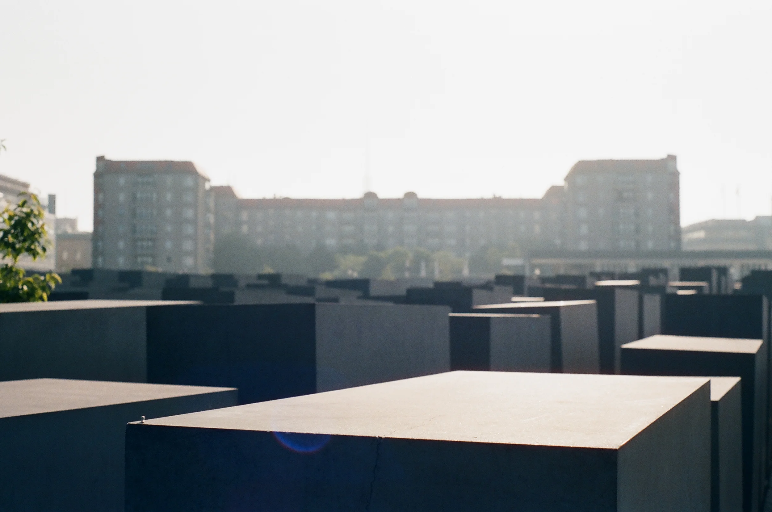 04510028.JPG
