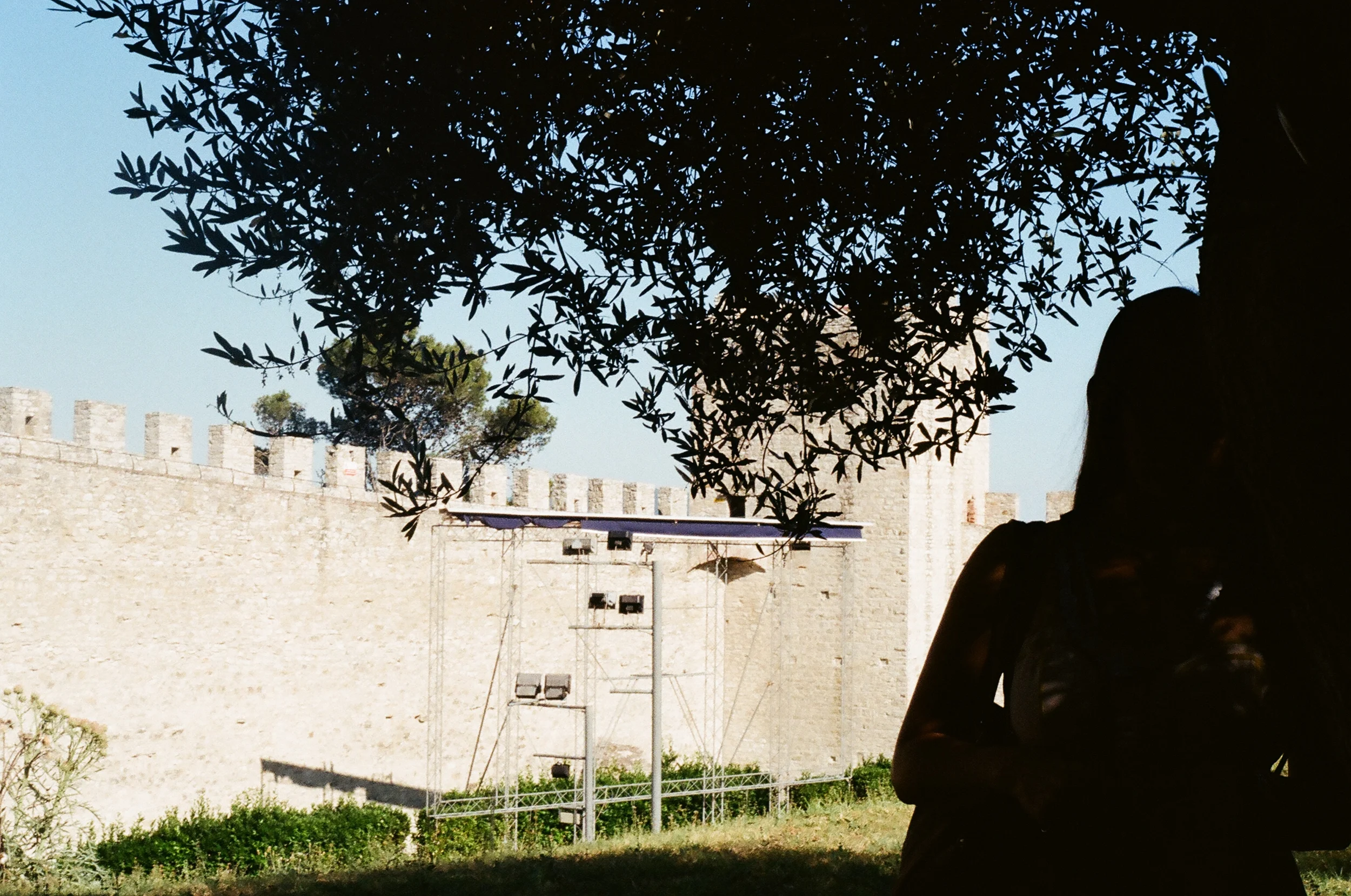 04670031.JPG