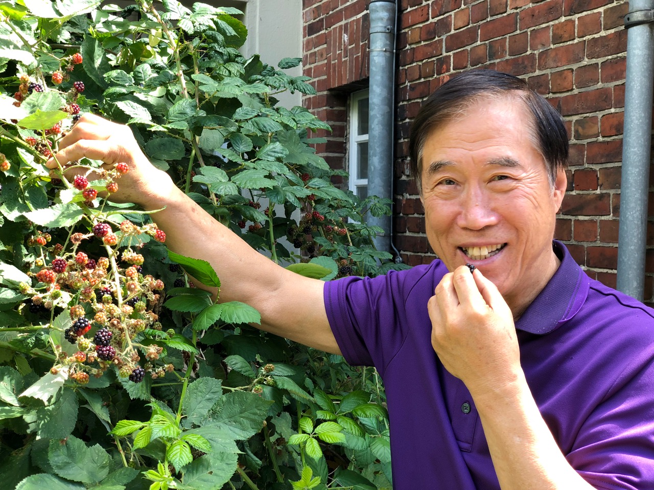Master Li eating Berries.jpeg