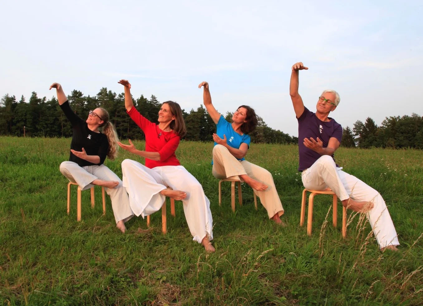Sheng Zhen Healing Stage Three, Seventh Movement, Austria