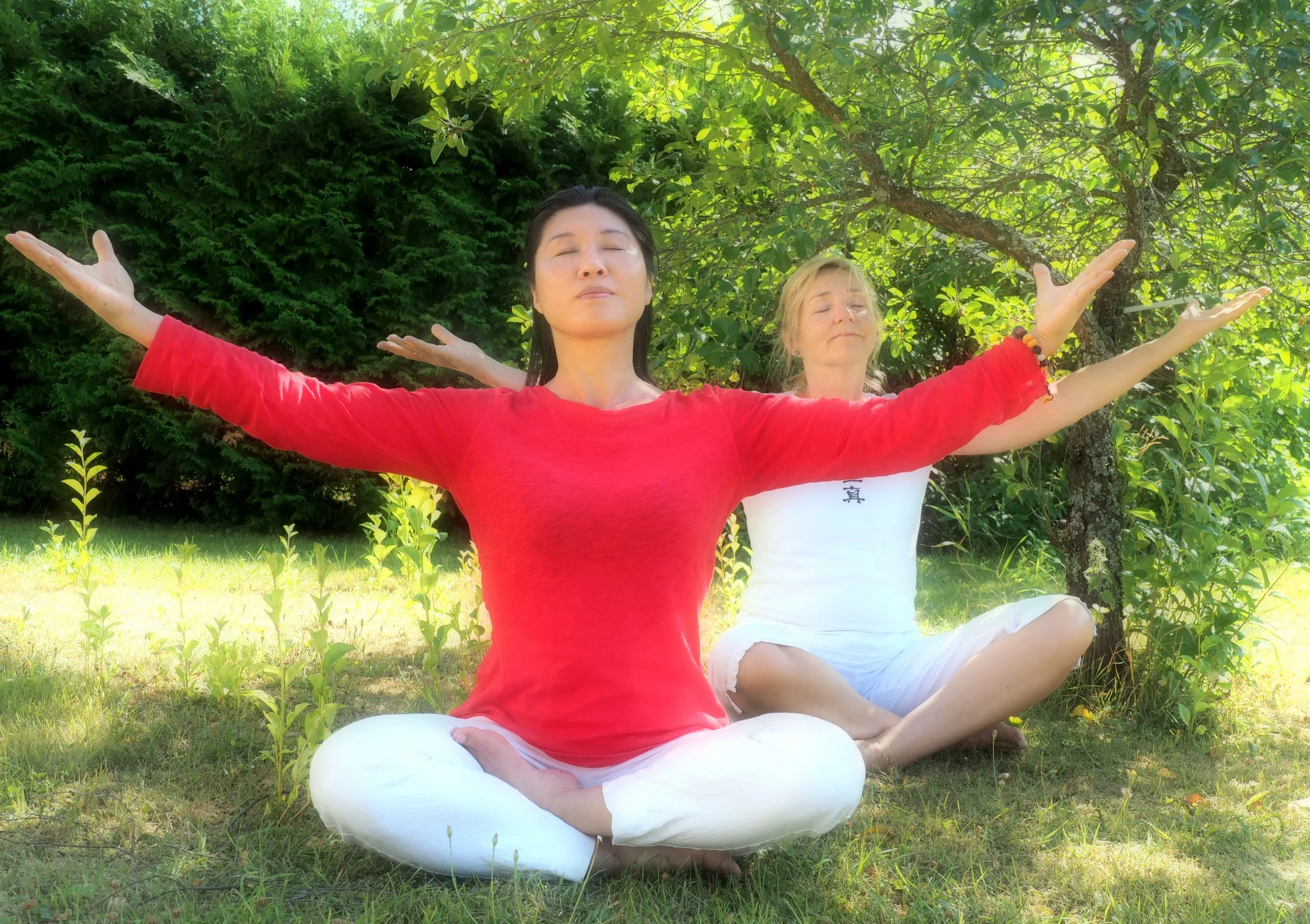 Tai Chi Relaxation (Level I)