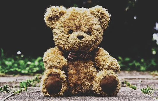 teddy1.jpg
