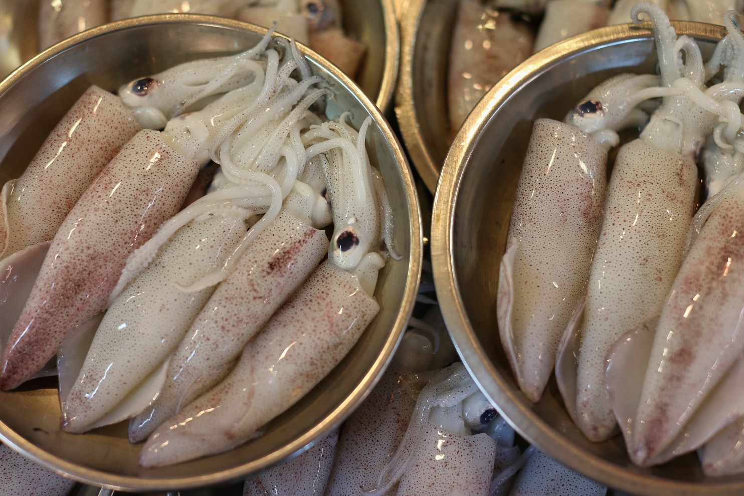 Raw squid is sold at market. This is the first time researchers have discovered an antibiotic-resistant bacteria in food. (Cameron Spencer/Getty Images)