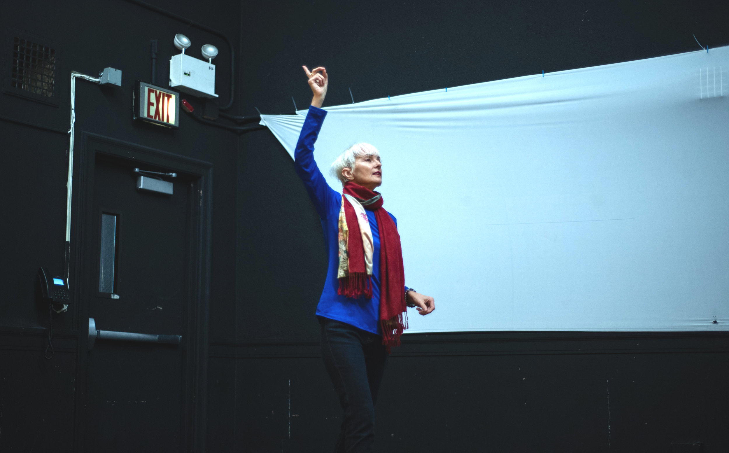 FREE INTERACTIVE PUBLIC SCHOOL LECTURE DEMONSTRATION
