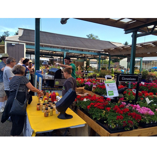 Curator PR Instagram: @CuratorPR (via Jennifer Carroll: Summer Nights at Swansons - Swansons Nursery)