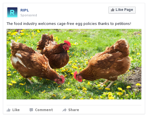 RIPL_FB_ad.png