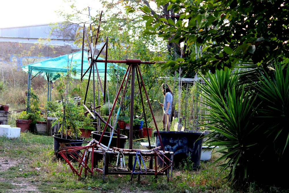 Be Wilder: Designing Urban Futures from the Bottom-Up  (Part 4 of 4)