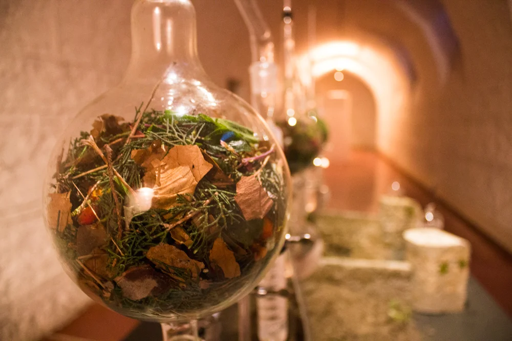 "A-Roma"- Exploring the scent of ecology in the eternal city. 