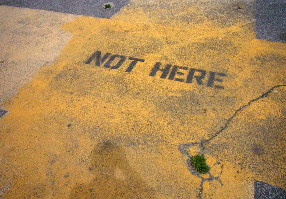 “The Ecologies of Elsewhere” A Walk & Talk with Daniel Phillips, Kim Karlsrud, and Lindsay Harris.