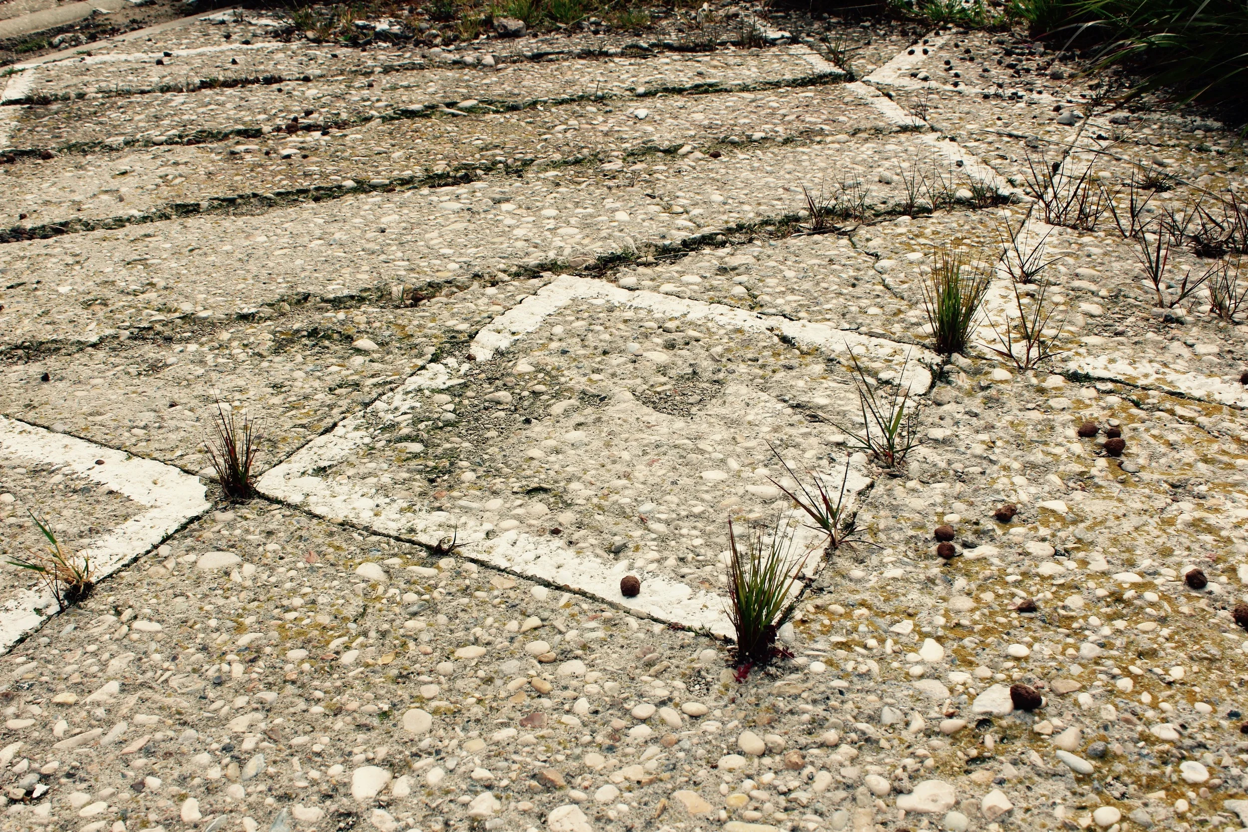 Signs of Life at The Metropoliz Future Forest