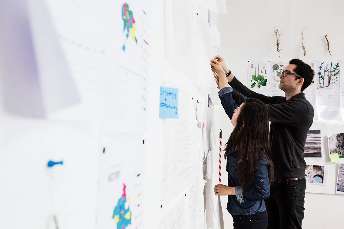 Commonstudio's "Let it Grow" Interview 